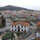 figueira2