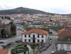 figueira2