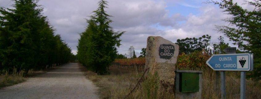 quinta do cardo