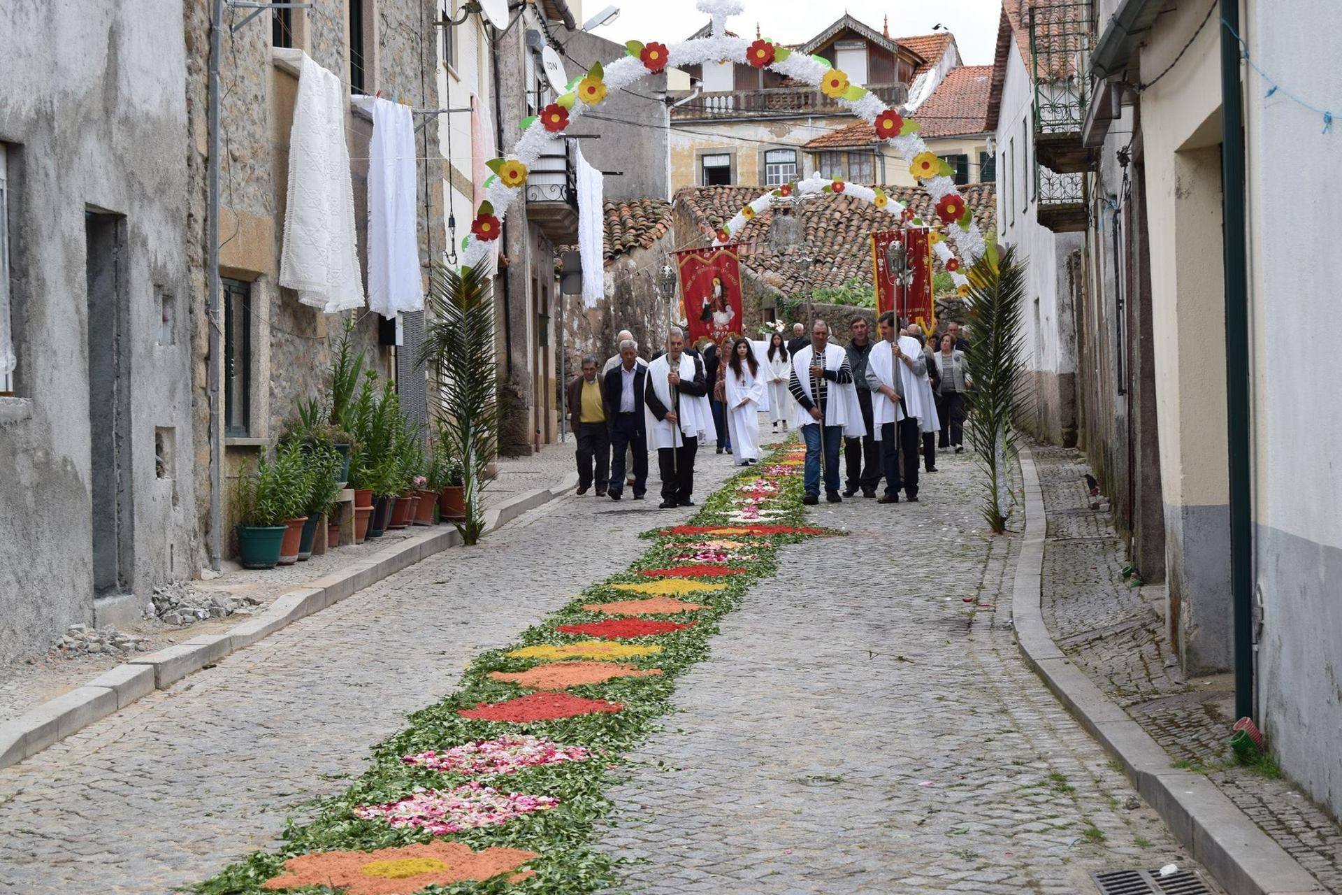 13235404 1195633347155398 4590707186691476081 o 13235404 1195633347155398 4590707186691476081 o