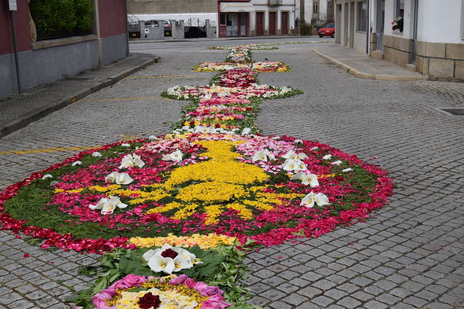 13247746 1195633043822095 2174798880342745881 o 13247746 1195633043822095 2174798880342745881 o