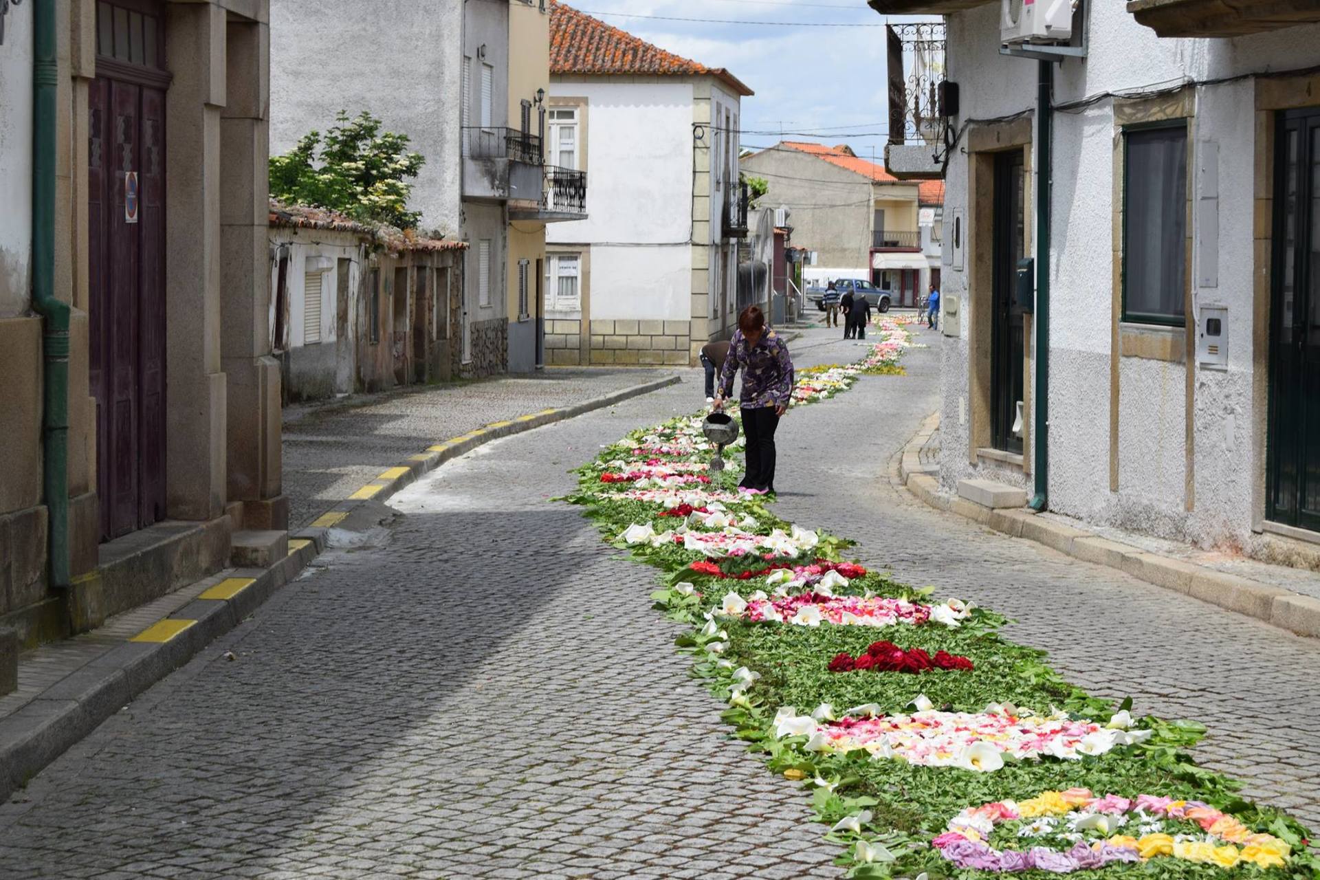 13254761 1195632870488779 670595827211623628 o 13254761 1195632870488779 670595827211623628 o