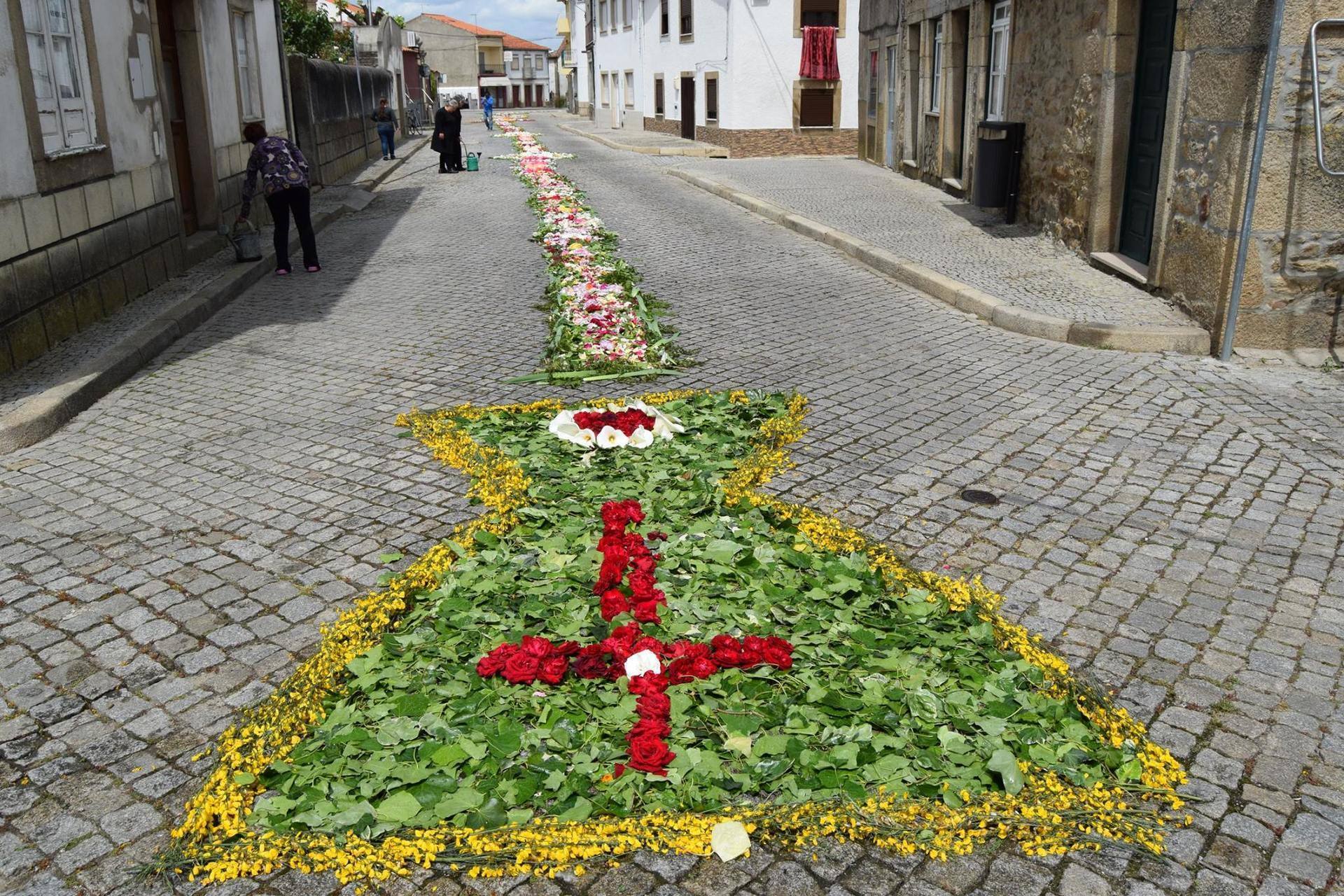 13268248 1195633020488764 259163667332987993 o 13268248 1195633020488764 259163667332987993 o