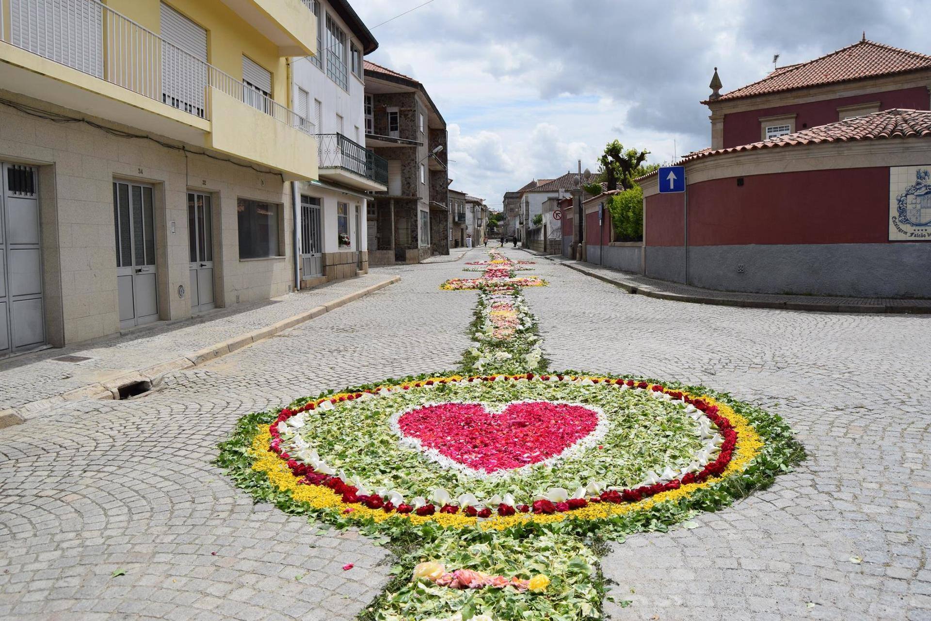 13304960 1195633340488732 9129090837161382897 o 13304960 1195633340488732 9129090837161382897 o