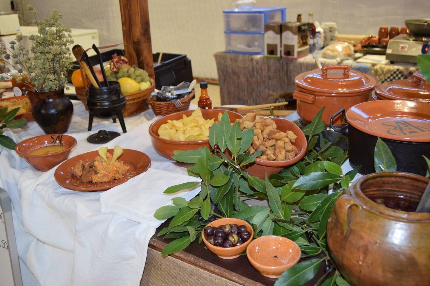 23120268 1686691934716201 3321336659293102829 o