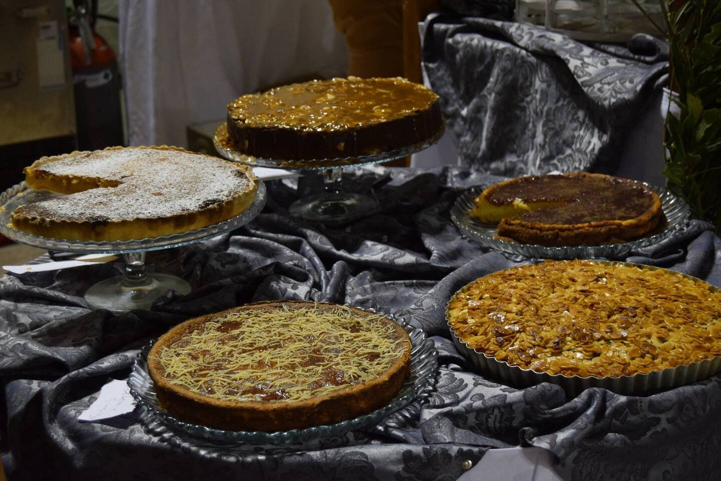 23213046 1686690144716380 1531280340789123486 o