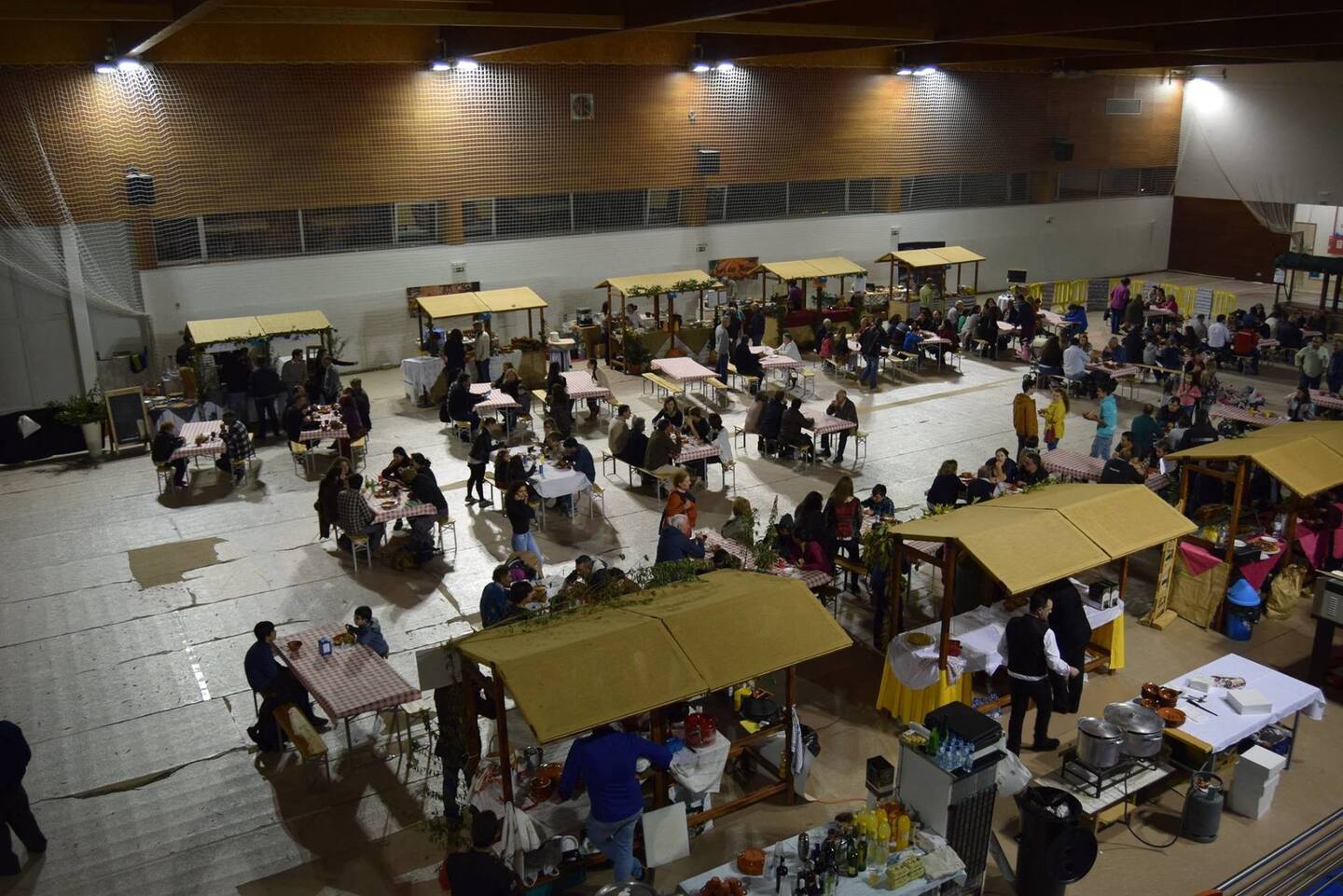 23213269 1686689498049778 5884446140431399603 o