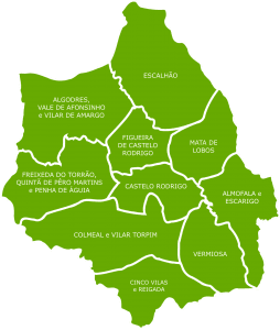 concelho de figueira