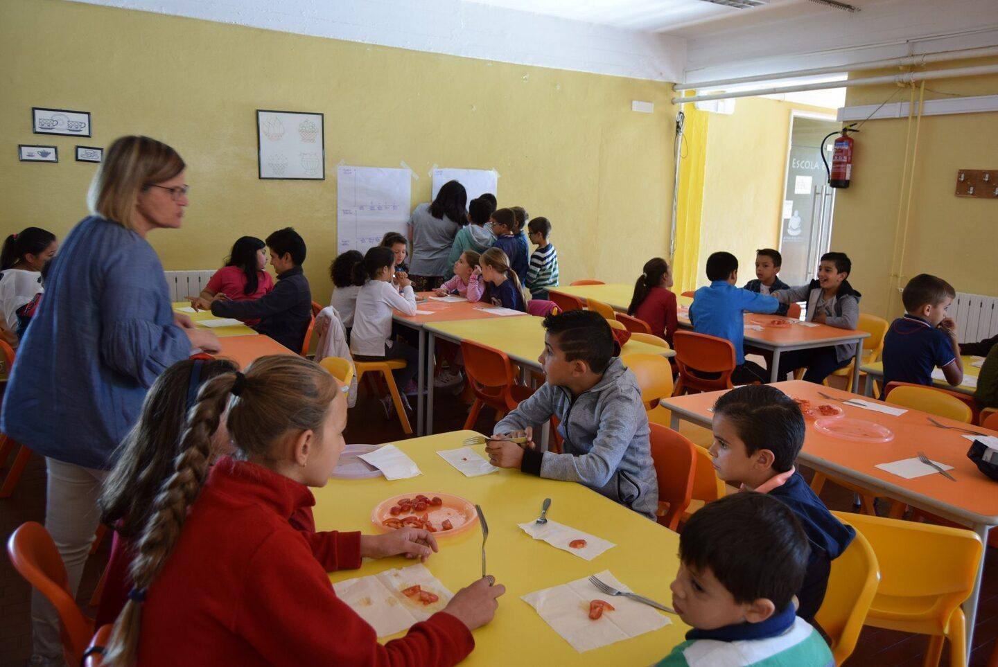 43419337 2081933095192081 5330947011619323904 o