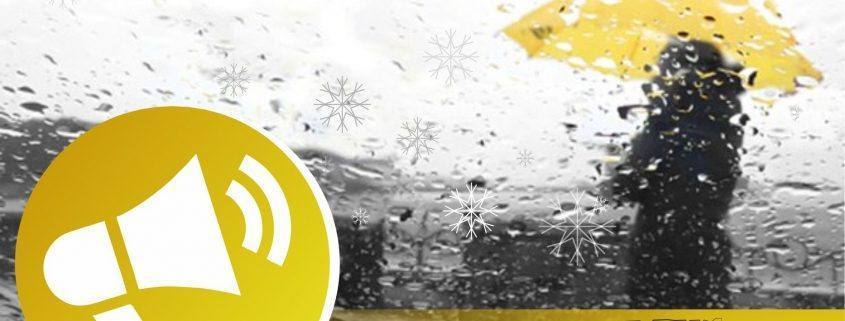 50843212 2241162002602522 2171308939692474368 o