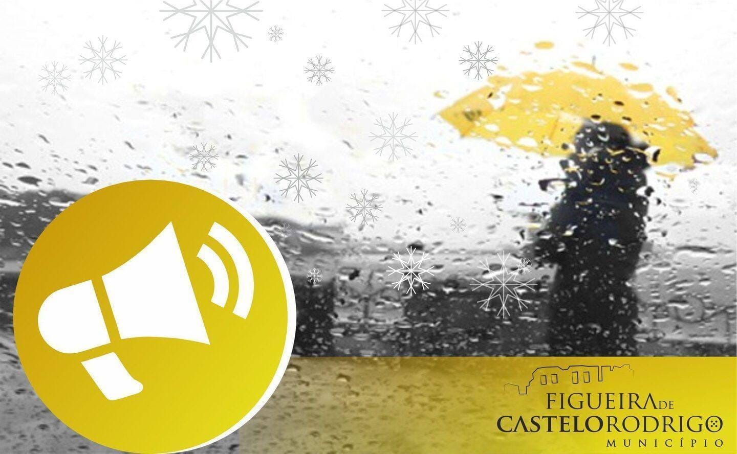 50843212 2241162002602522 2171308939692474368 o