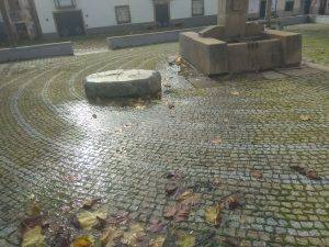 IMG 20191115 104534 scaled