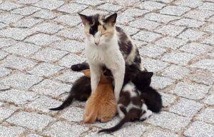 FB IMG 15964645553082