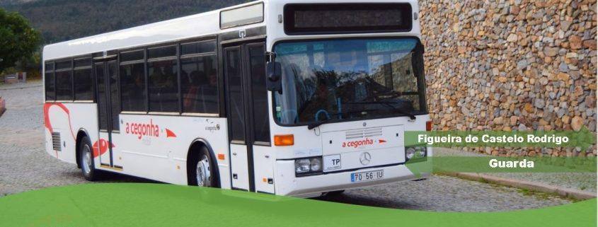 cegonha mobil retoma