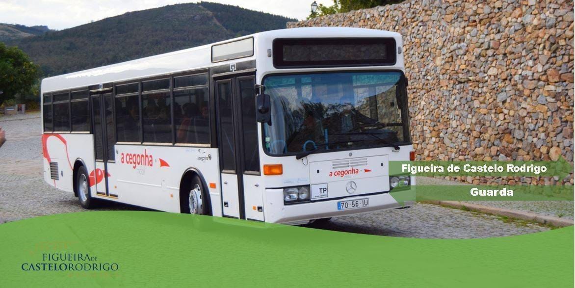 cegonha mobil retoma