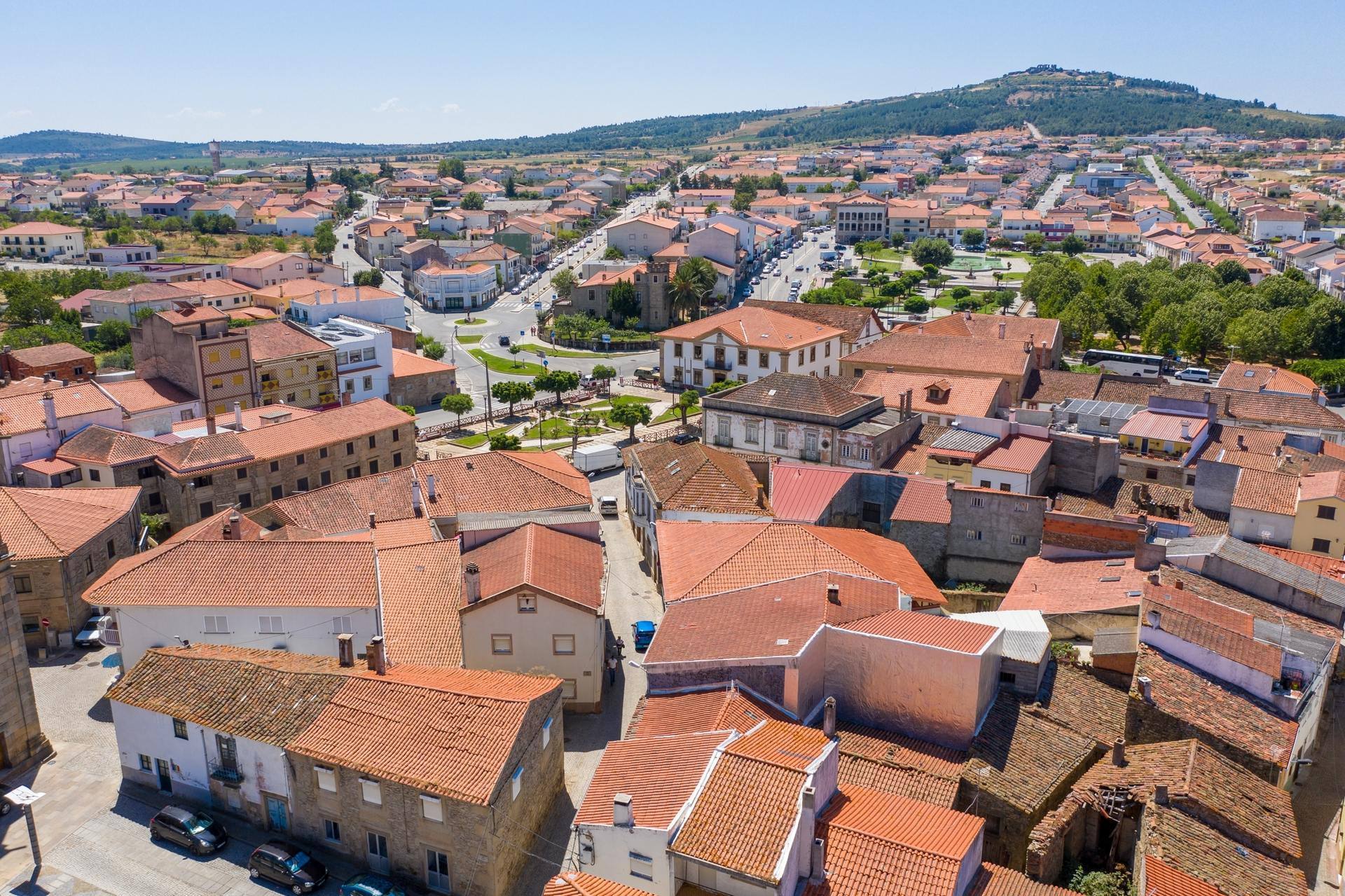 20200729 0919 scaled