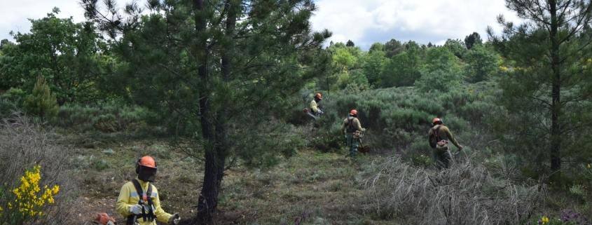 281263550 5320289341356424 8053793679481268495 n 1