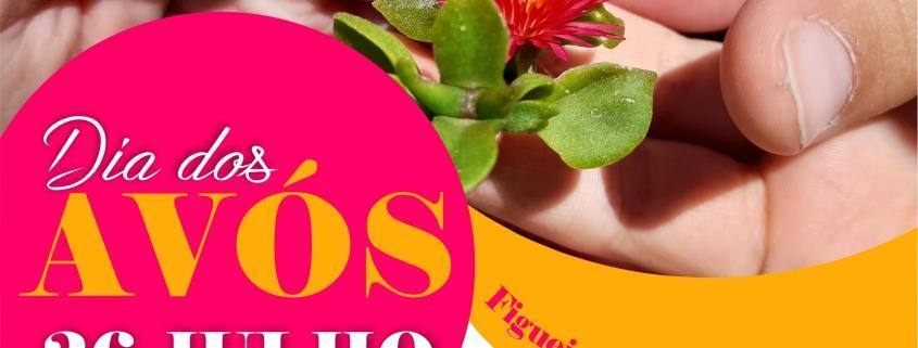 dia dos avos site scaled