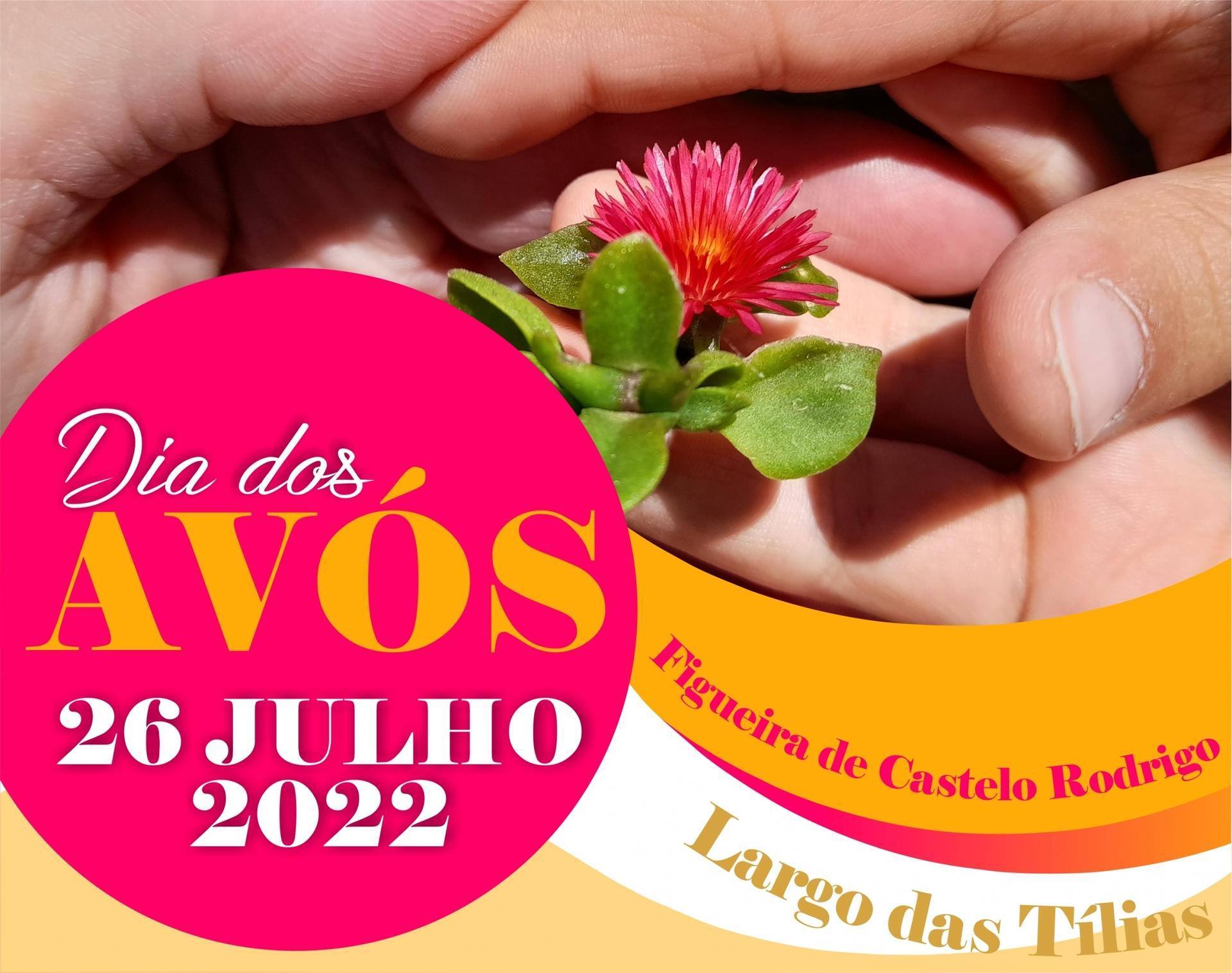 dia dos avos site scaled