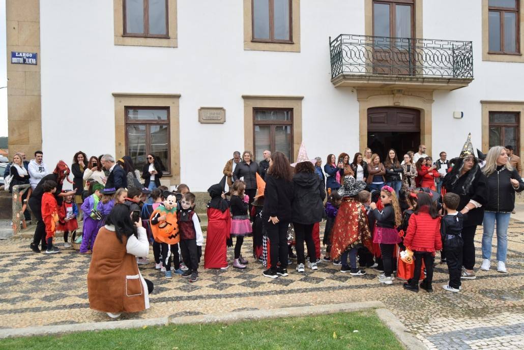 311621582 5794421593943194 8085552018279365307 n