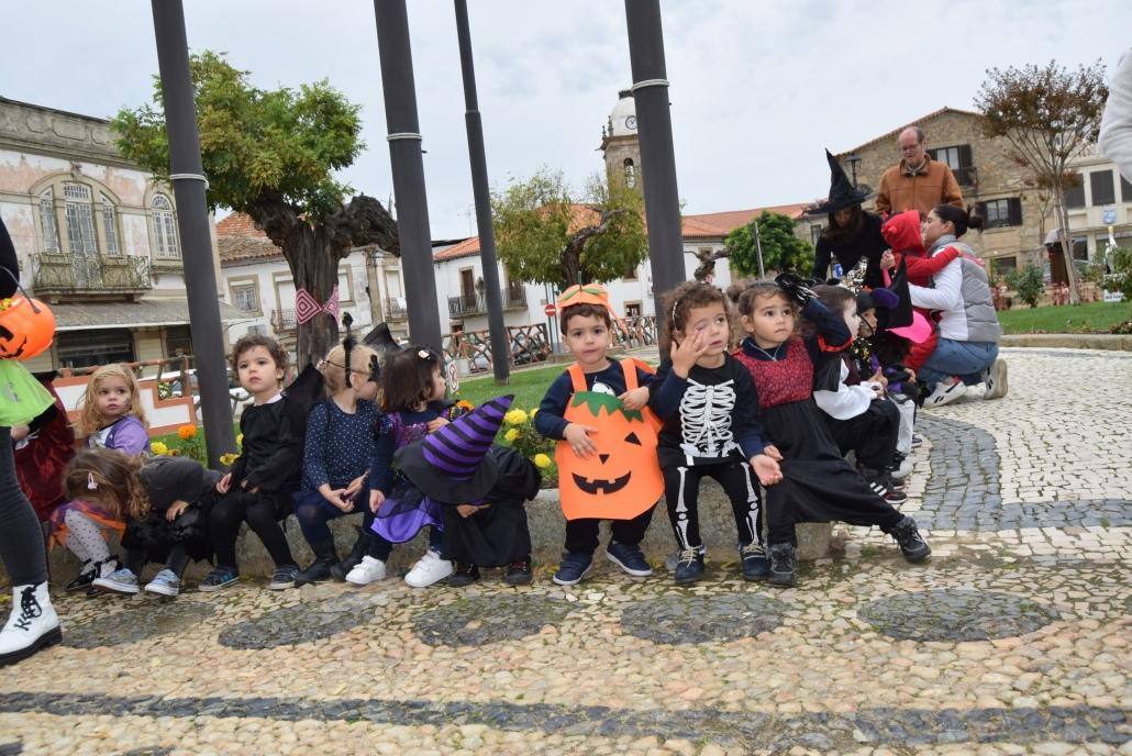 311882755 5794421817276505 2940435054009241323 n