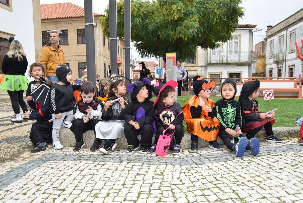 311985450 5794420533943300 388643478757019072 n