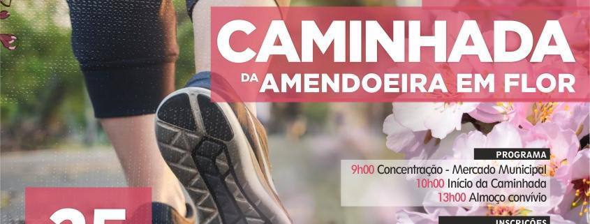 caminhada scaled