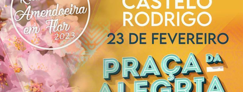 praca alegria scaled