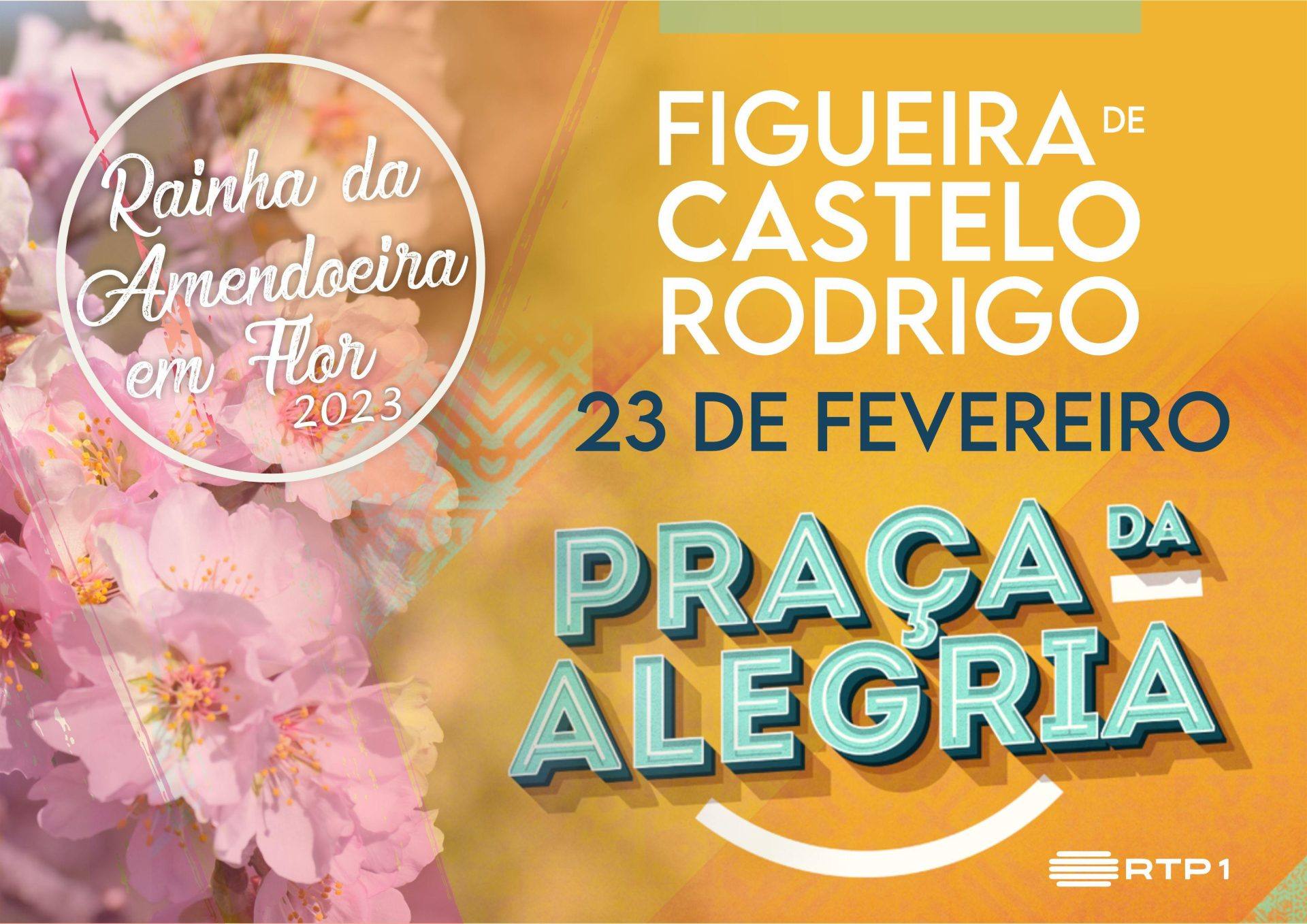 praca alegria scaled