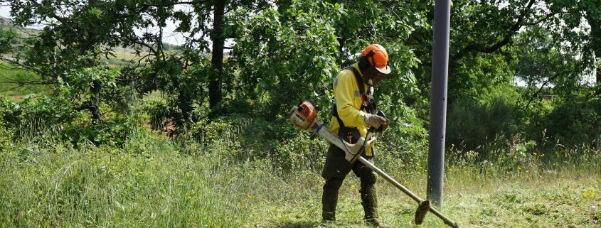 limpeza das bermas e passeios 1