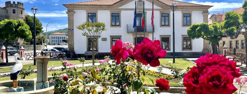 402163388 335860079086061 3441608757266493490 N