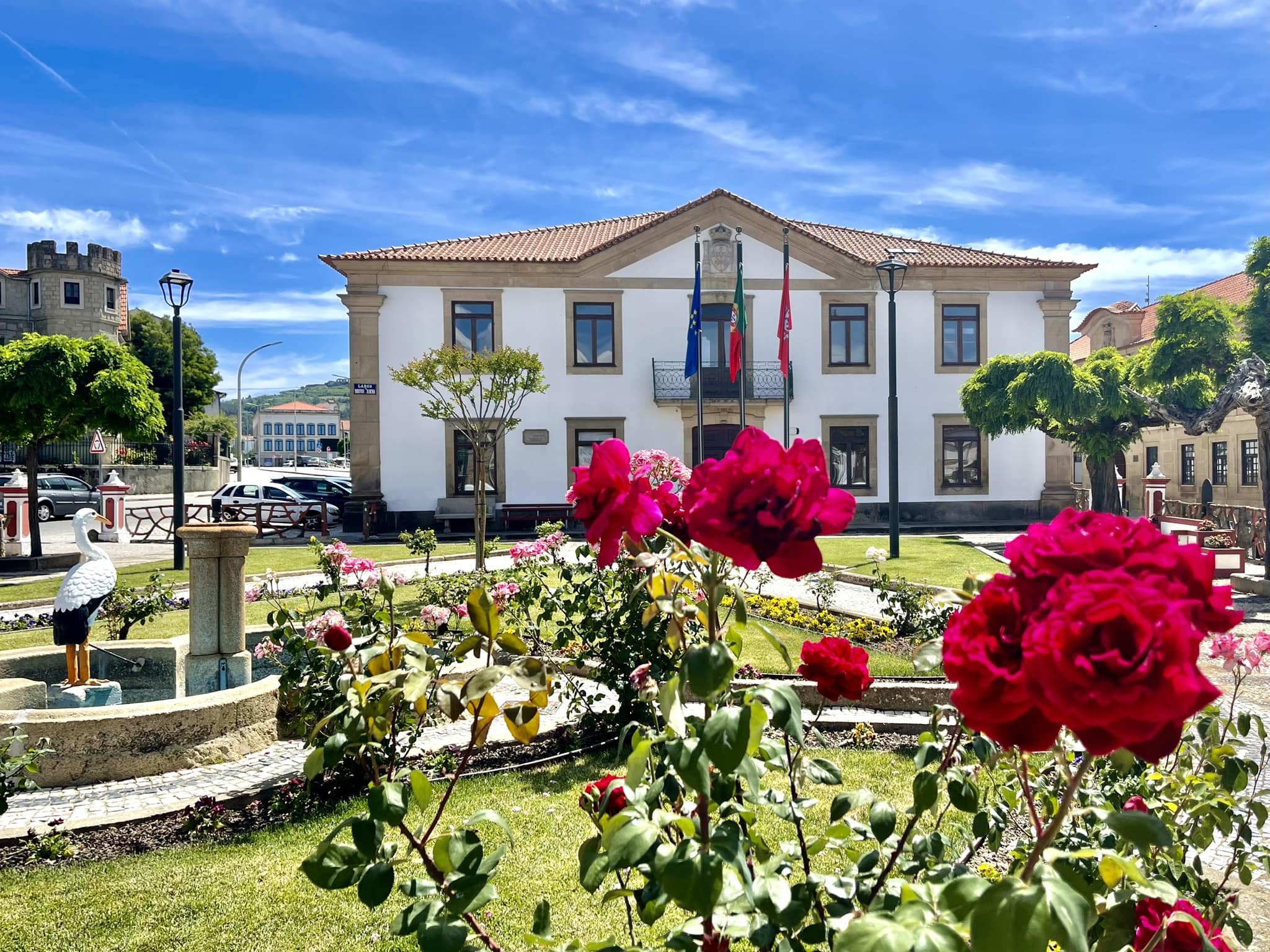 402163388 335860079086061 3441608757266493490 N