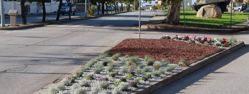 renovacao de canteiros 1