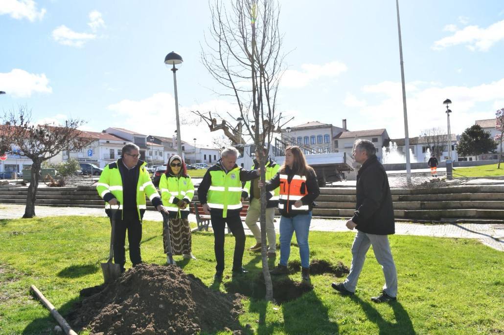 185154b6 8d1e 44c1 93a9 Ecb1dfbe9beb