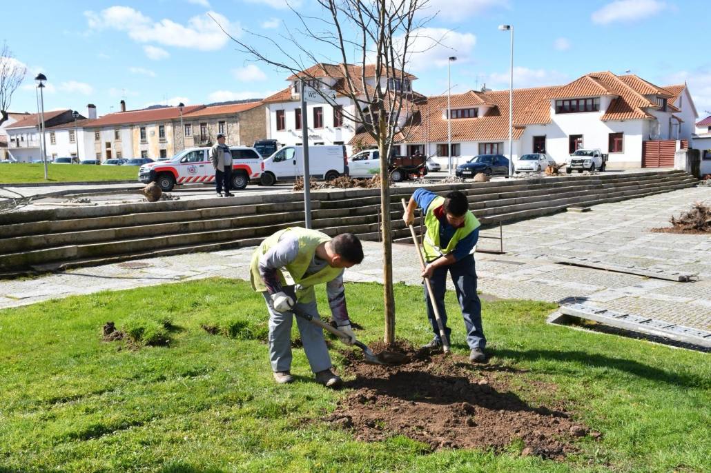 3b8151cd 7c1f 46c8 9675 3d8d7a7a1ded