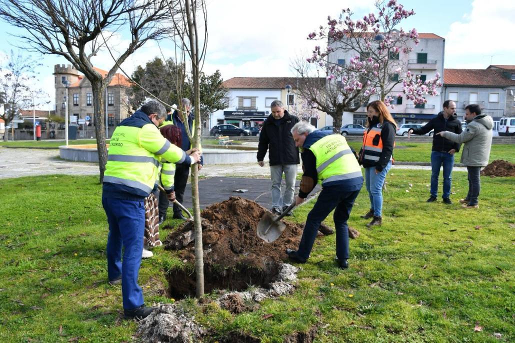 3ddc668e Bdd3 43c7 82c5 2900bafc2ece