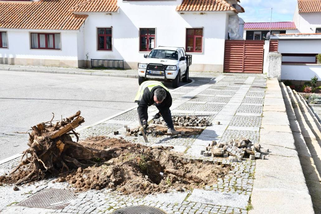 67b75cb4 Fbd7 4b9c Adb6 A6ae739e13e2