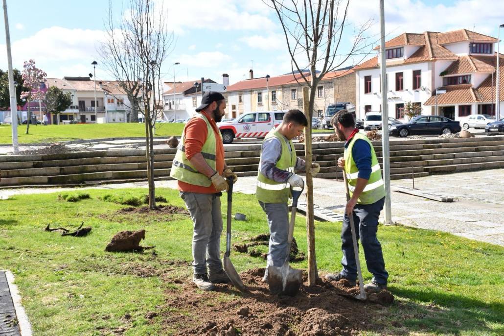 6a4a8163 1989 4355 845a 42cb38a53707