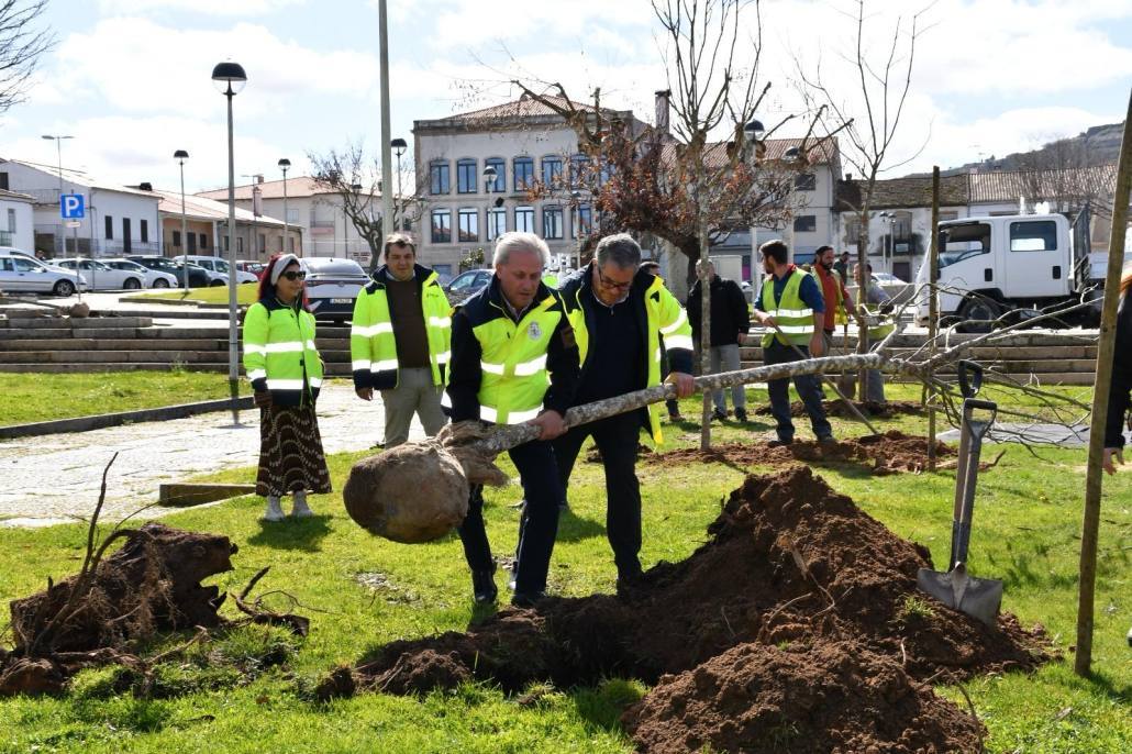 C85fbc13 3fc9 4eb9 A93e 4d9311f73f2e