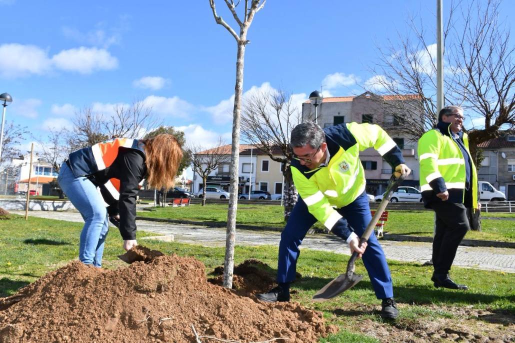 E0b95f80 Ca11 4c31 84b8 F1427bcfe941 (1)