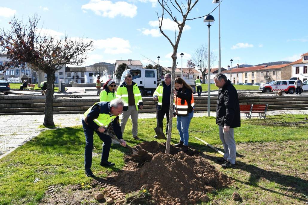 Ea5b8915 Fe49 4b9e B5a1 Caf6d0657cc0