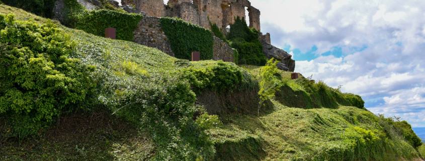 Limpeza Da área Envolvente às Muralhas Da Aldeia Histórica De Castelo Rodrigo (18)