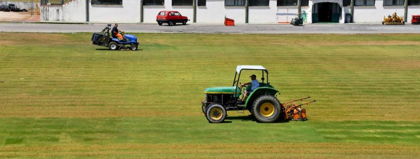 Relvado Do Estádio Municipal (5)