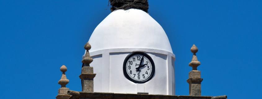 Intervenção Cúpula Igreja Matriz (8)