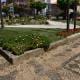Substituição E Colocação De Flores Na Vila (8)