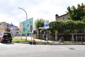 Substituição E Colocação De Novas Flores Na Vila (11)