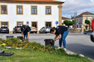 Substituição E Colocação De Novas Flores Na Vila (13)