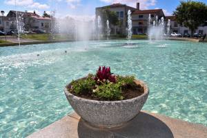 Substituição E Colocação De Novas Flores Na Vila (15)
