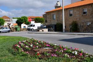 Substituição E Colocação De Novas Flores Na Vila (16)