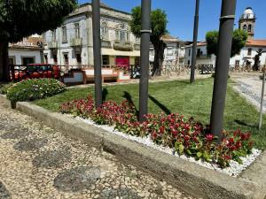 Substituição E Colocação De Novas Flores Na Vila (17)